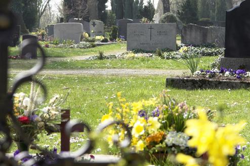 Friedhofslandschaft mit Grabsteinen und bunten Blumen auf dem grünen Rasen, sanfte Lichtverhältnisse.